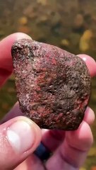 RARE stone found, cut, & polished.