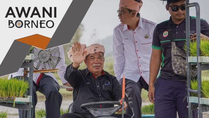 Mohamad Sabu akan bertemu Abang jo bincang rancangan jelapang padi kedua negara