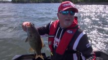 Pêche à l'achigan sur lac Saint Louis