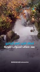 الأردن | أمطار الخير تفجر الينابيع بعد جفاف لسنوات طويلة