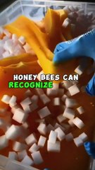 Facts That Will Blow Your Mind! #Short