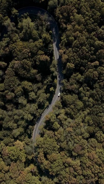 Surah Al-Falaq (The Daybreak) سورة الفلق in English translation