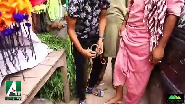 At Bakra Mandi Saleem Albela and Goga Pasroori in action funny video