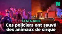 Aux États-Unis, la police de l’Indiana sauve des animaux coincés dans un camion de cirque en feu