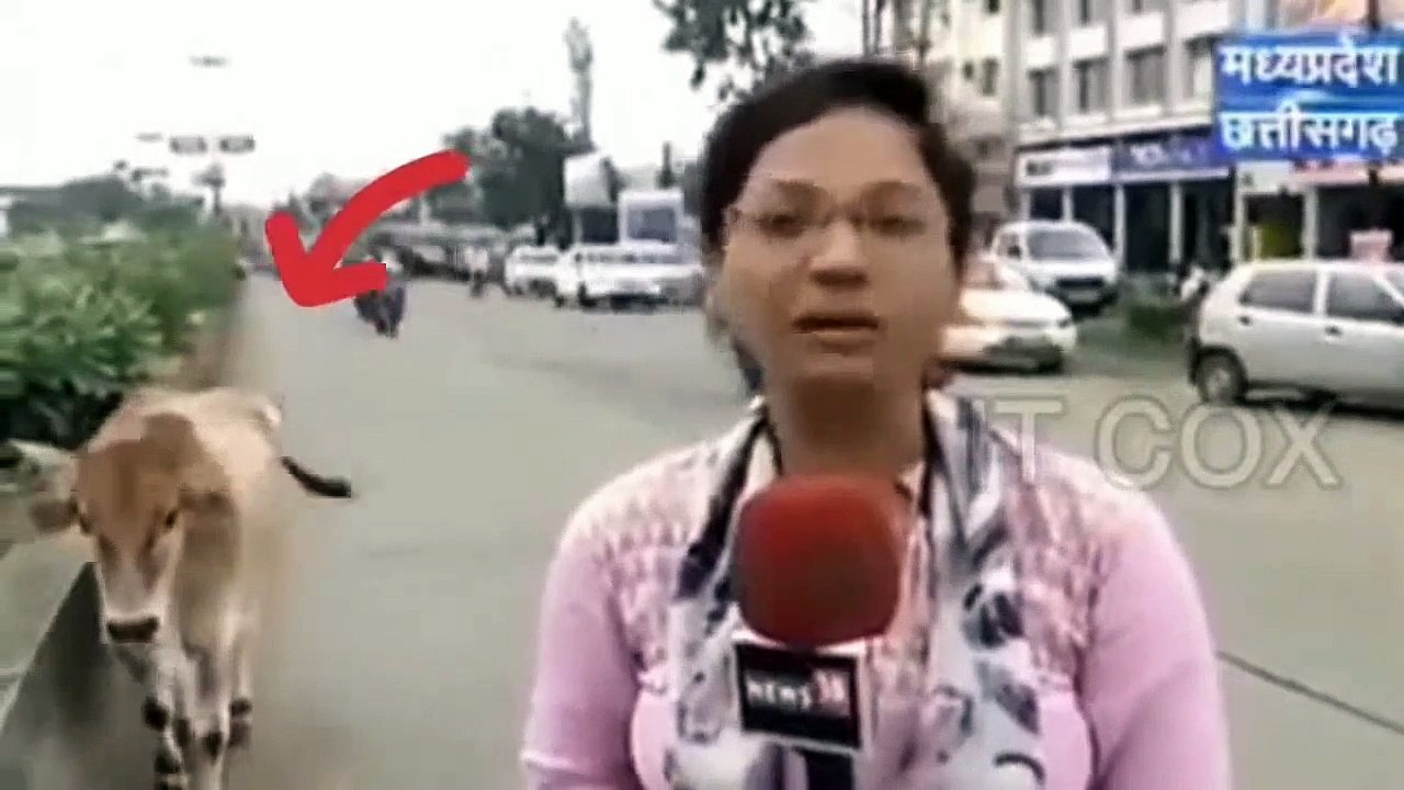 Funny fails 2024 par 2. funny video.  try not to laugh