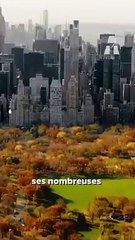 Ces Chantiers Non Terminés Hantent Manhattan ! ️