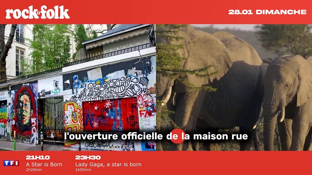 "La demeure légendaire de Serge Gainsbourg, située au 5 bis rue de Verneuil, ouvrira ses portes en septembre.