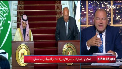 Download Video: الديهي يكشف المخطط الأمريكي الإسـ ـرائيلي لتعليق دعم الأونروا وتجميدها والقضاء عليها