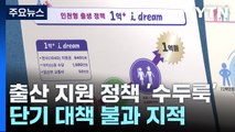 '예언자 허경영'?...현금성 저출산 해법 '글쎄' / YTN