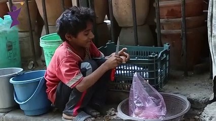 Aspiring Futures-Shelter Homes