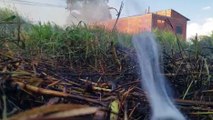 Bombeiros combatem incêndio em lote no Brasmadeira