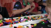 Troppo Bricks expo a chance for Darwin's master builders