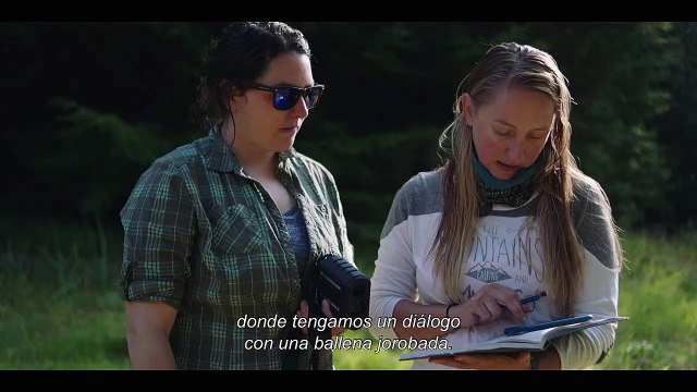 Sous la surface Bande-annonce (ES)