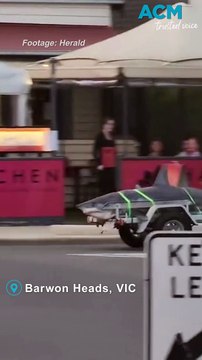 Massive Mako shark towed through town stuns locals