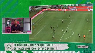 Ídolo do Palmeiras, ex-goleiro Sérgio opina sobre gramado do Allianz “Problema muito sério”