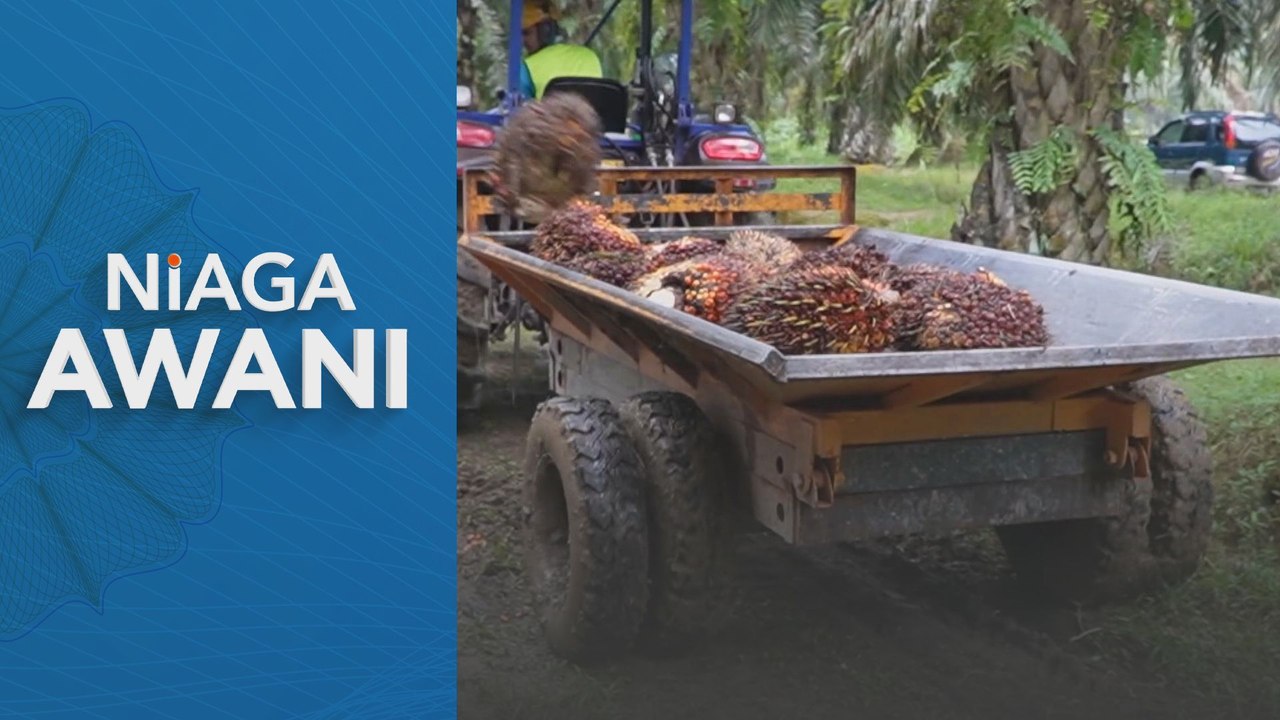 Niaga hadapan MSM didagangkan dalam jajaran kecil minggu ini