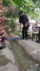 Funny video link bio 