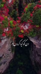 Shaitan_Nek_Bando_Ke_Bare_Me_Kya_Keh_Raha_HeMaulana tariq jamil short clip#islam#dailyislamicvideos