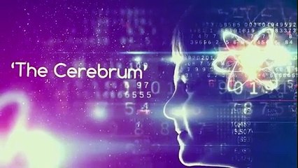 School Counselling Video - Hyderabad Euroschool