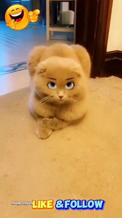 Paws and Chuckles: The Ultimate Animal Comedy Compilation #comedy #funny #animal #dogs