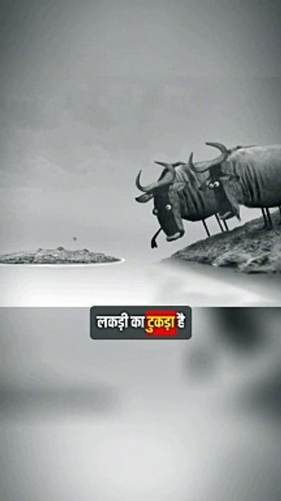 Motivational Shorts #motivation #shorts