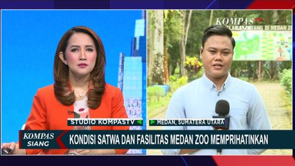 Update Kondisi Satwa dan Fasilitas Medan Zoo yang Memprihatinkan