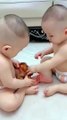 Babies Fighting With Each Other |Babies Funny Moments | Babies Funny Reactions | Babies Compilation #babies #beautiful #cutebabies #fun #love #cute #beautiful #funny