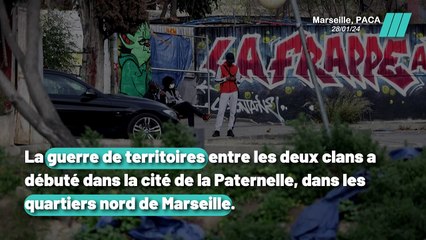 Marseille sous tension : Le conflit explosif entre la DZ Mafia et Yoda en 2023