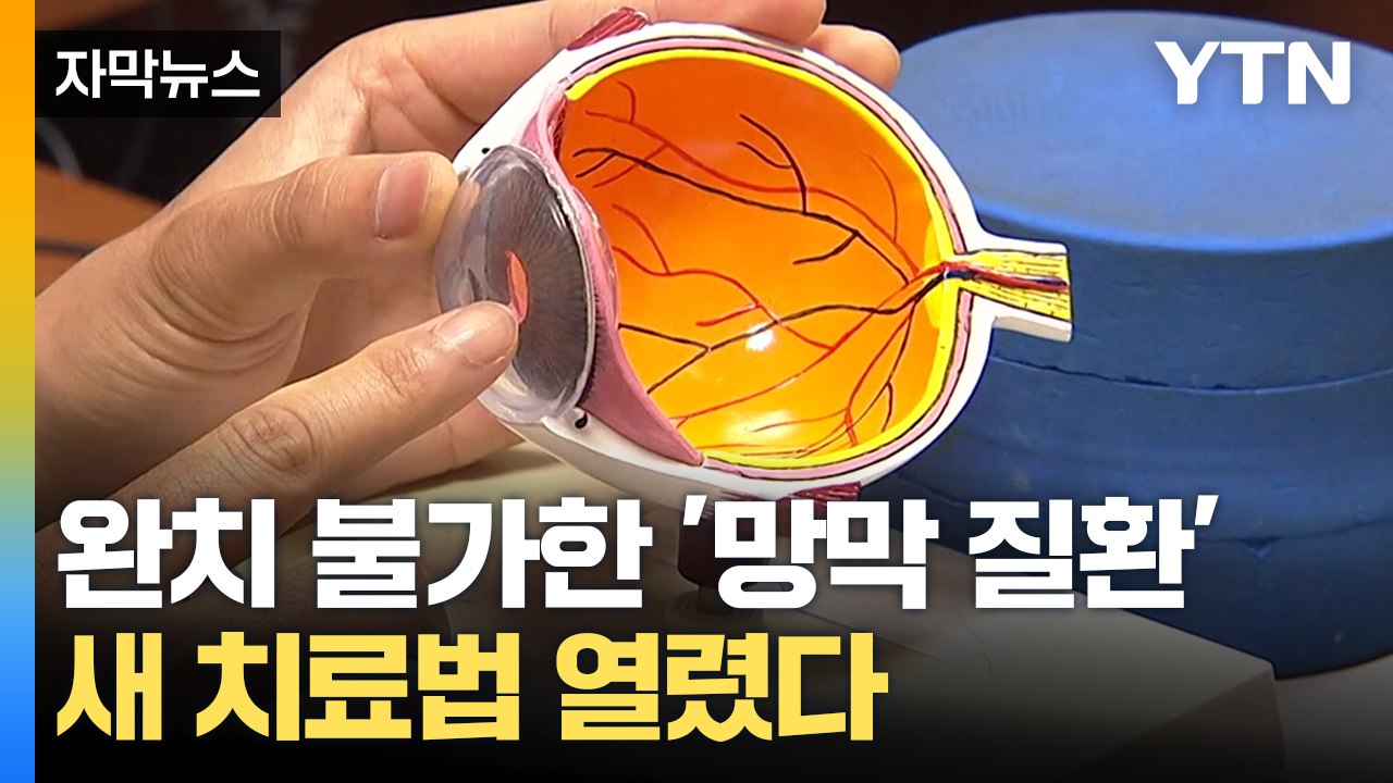 [자막뉴스] 완치 불가한 '망막 질환', 국내 연구진 '새 치료법' 개발 / YTN