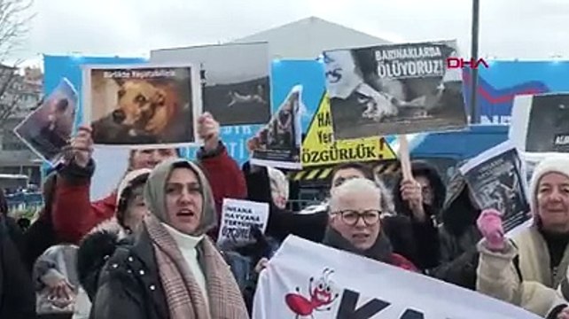 Yaşam İçin Yasa İnisiyatifi ve hayvanseverler sokak hayvanları için eylem yaptı