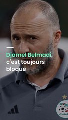 Djamel Belmadi, c’est toujours bloqué