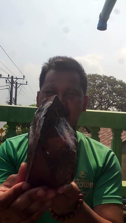 Agate Stone #agate #gemstones #jewlery #rocks #minerals #diamond #meteorite #shorts