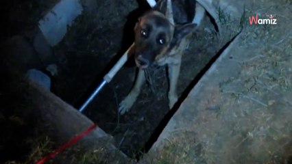 Au fond du trou, une forme lutte pour survivre : 3H plus tard, les sauveteurs constatent l'étendue des dégâts (vidéo)