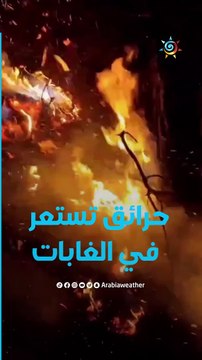 حول العالم | كولومبيا تعلن حالة الطوارئ لمواجهة العشرات من حرائق الغابات المستعرة