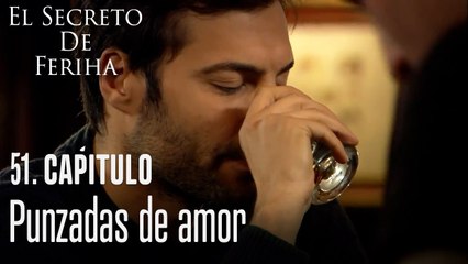 Punzadas de amor - El Secreto De Feriha Capítulo 51 En Español