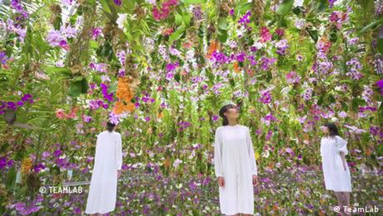 Das Erfolgsgeheimnis immersiver Kunst