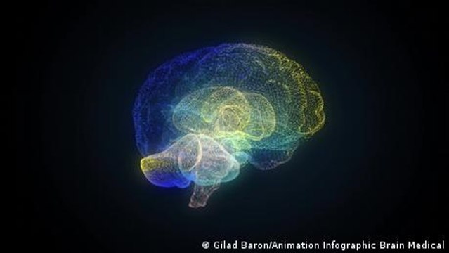 Warum das Gehirn immersive Kunst liebt