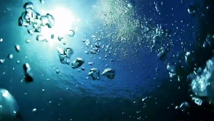 Escobar's Treasure Submarine: Uncover the Secrets of the Deep 🌊