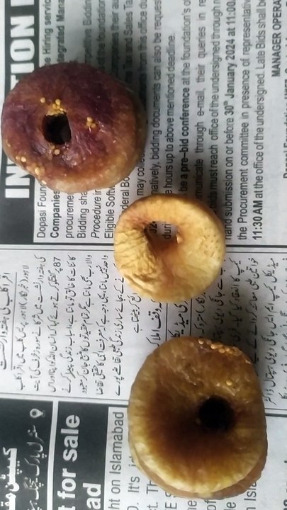 Rs 100 I bought this dry fruit
