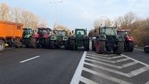 Action du secteur agricole sur les autoroutes belges