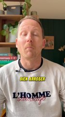 Comment bien arroser ses semis pour le jardin potager ? ‍