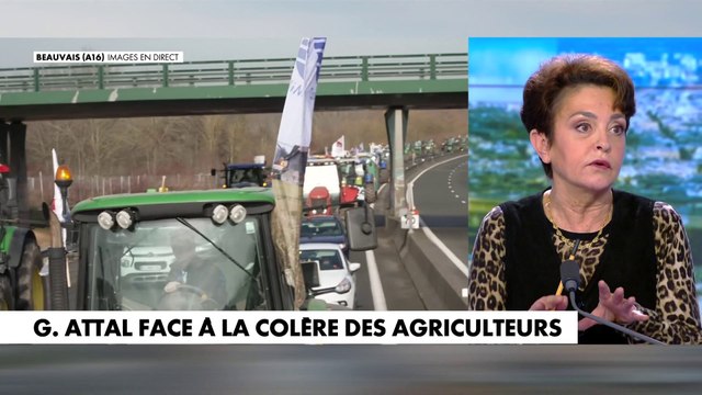 Judith Waintraub : «Gabriel Attal n'est pas celui qui décide en France»