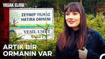 Alihan'dan Zeynep'in Kalbini Fetheden Jest - Yasak Elma 36. Bölüm