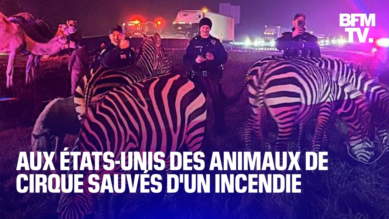 États-Unis: la police sauve des animaux de cirque d’un incendie dans l'Indiana