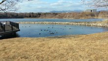 Konyoike Park (Koyaike park): A Visual Tour of the Bird Sanctuary and City Park