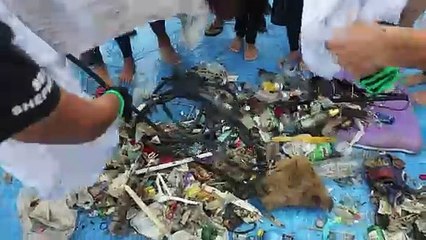 ONG SEA SHEPHERD BRASIL em Florianópolis