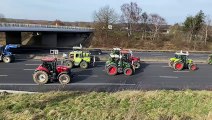 On vous en parle - ces vidéos insolites sur les points de blocages des agriculteurs