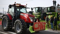 EN DIRECT - Manifestation des agriculteurs : les convois convergent vers Paris et Rungis, le point sur les blocages...