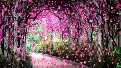 Surah Al -Waqiah Full ( The Event ) most heart touching of surah al waqiah(720P_60FPS)