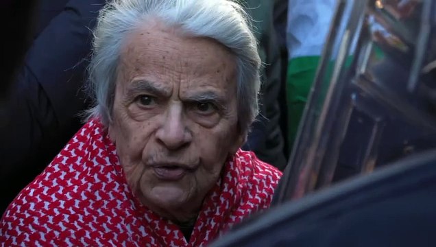 Milano, al corteo pro Palestina il carabiniere a un'anziana manifestante: Mattarella non ? il mio presidente...